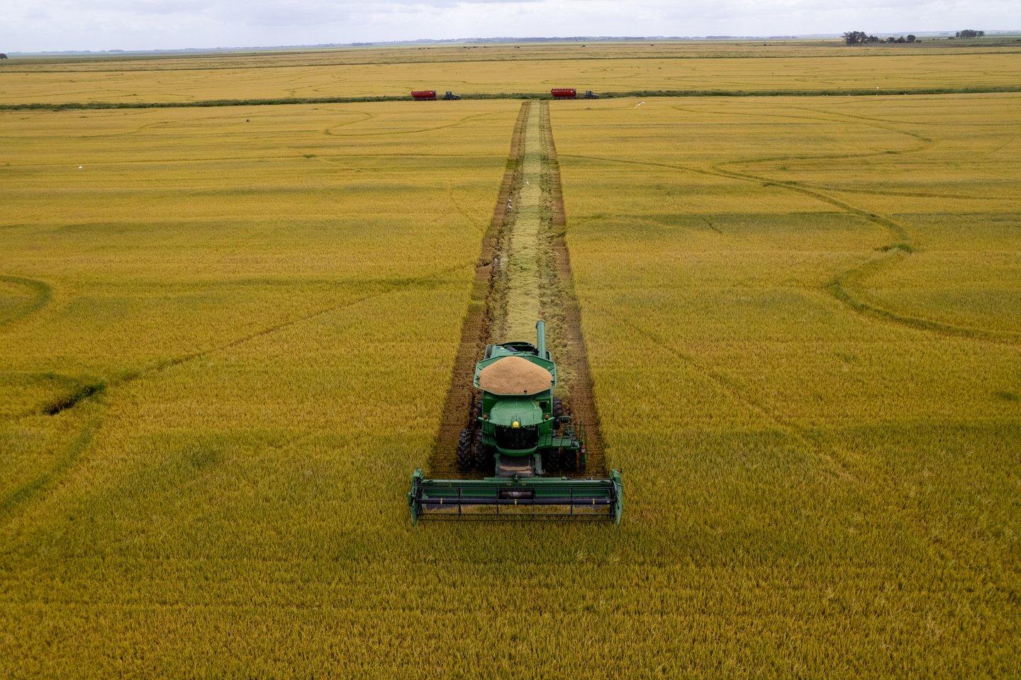 Supremo Insumos - Campo