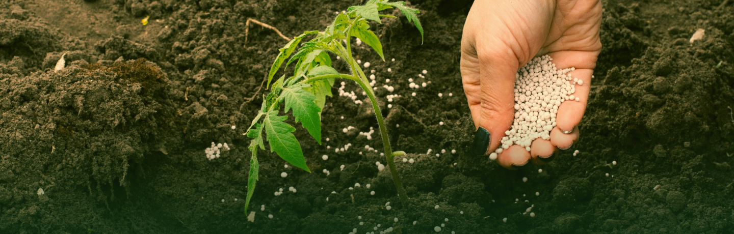 O Futuro da Nutrição Vegetal