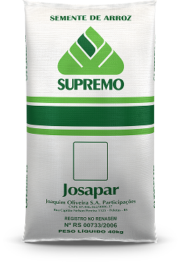 Semente de Arroz