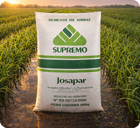 Sementes de arroz Supremo