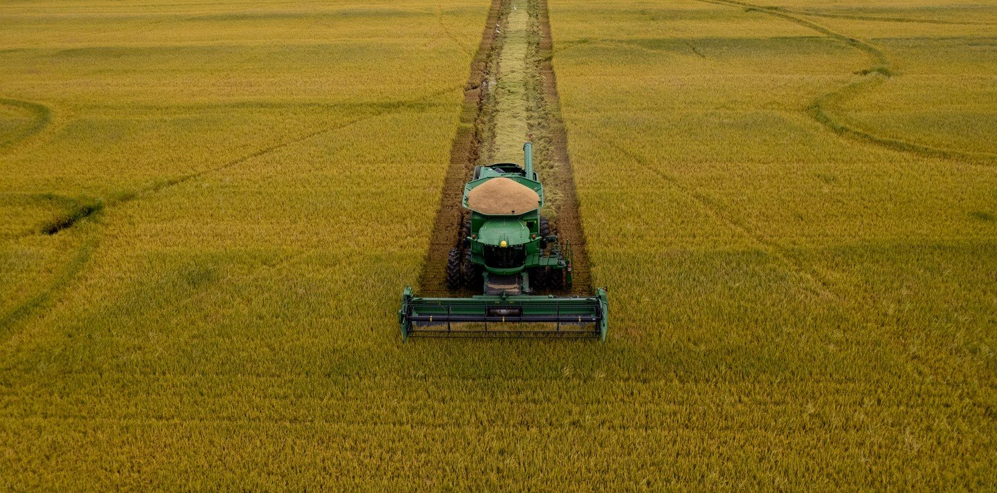 Supremo Insumos - Campo