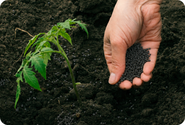 O Futuro da Nutrição Vegetal