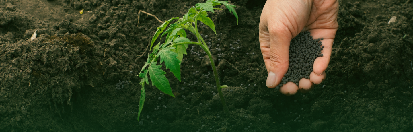 O Futuro da Nutrição Vegetal